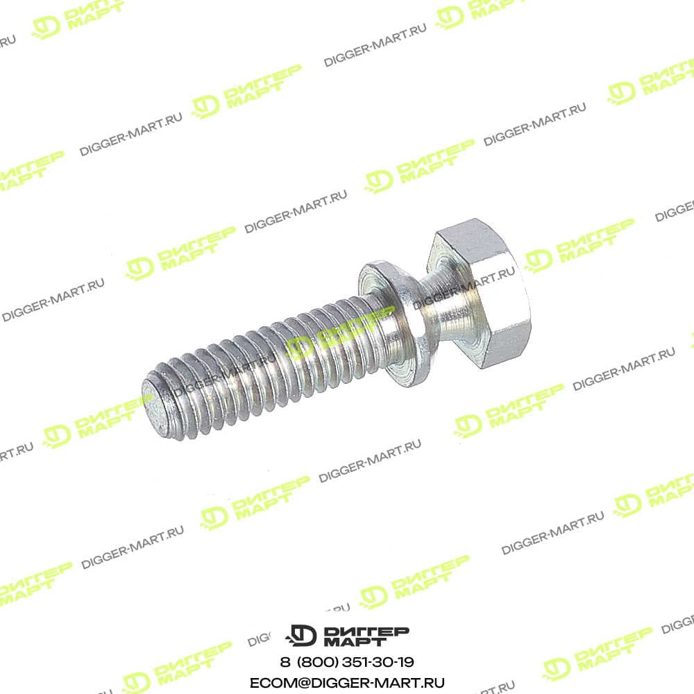 Болт BOSCH 2 423 450 002