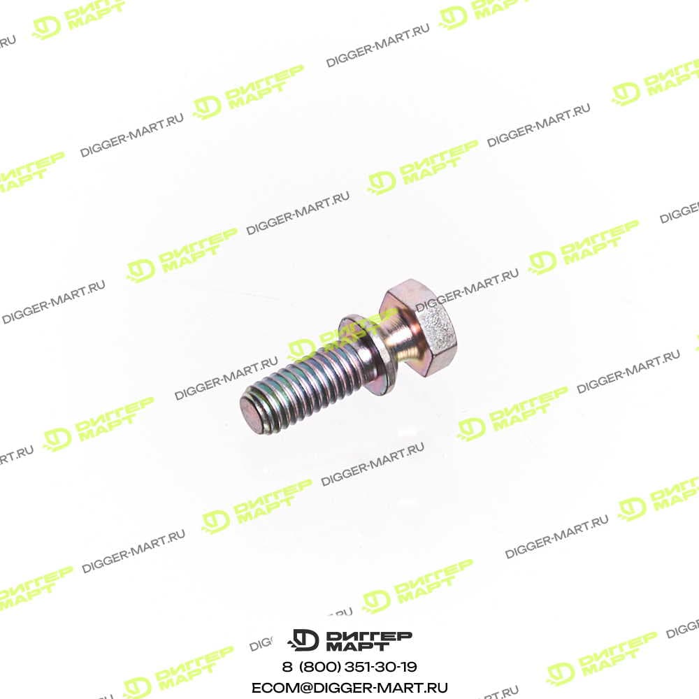 Болт BOSCH 2 423 450 005