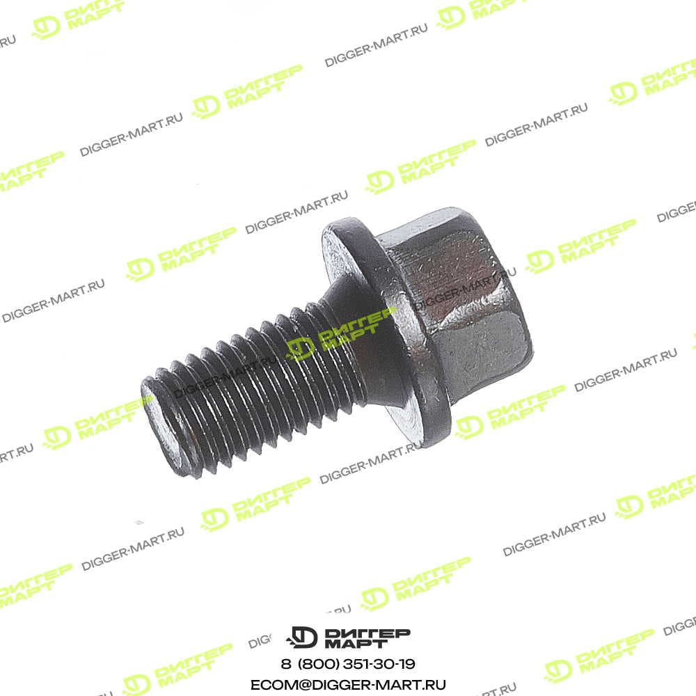 Болт фиксации ГГ DELPHI 7180-352