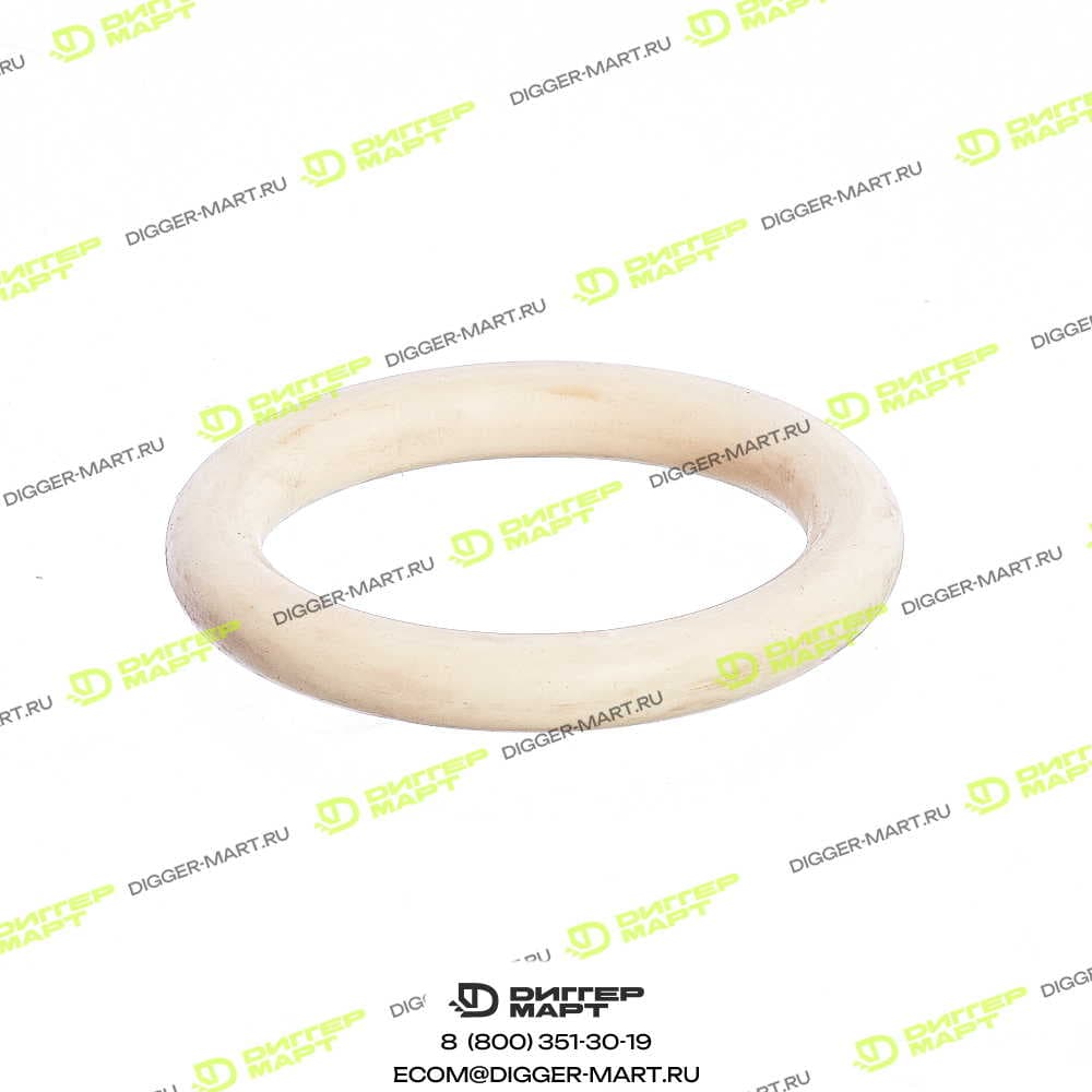 Кольцо DEUTZ 02424963