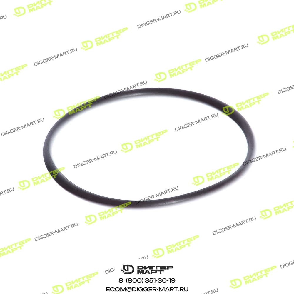 Кольцо помпы JCB 02/200087