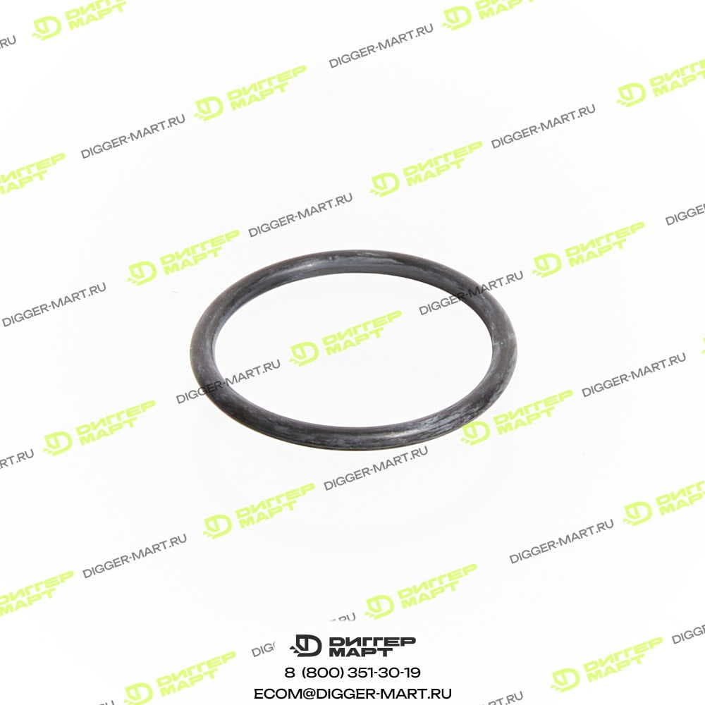 Уплотнительное кольцо BOSCH 1 420 210 043