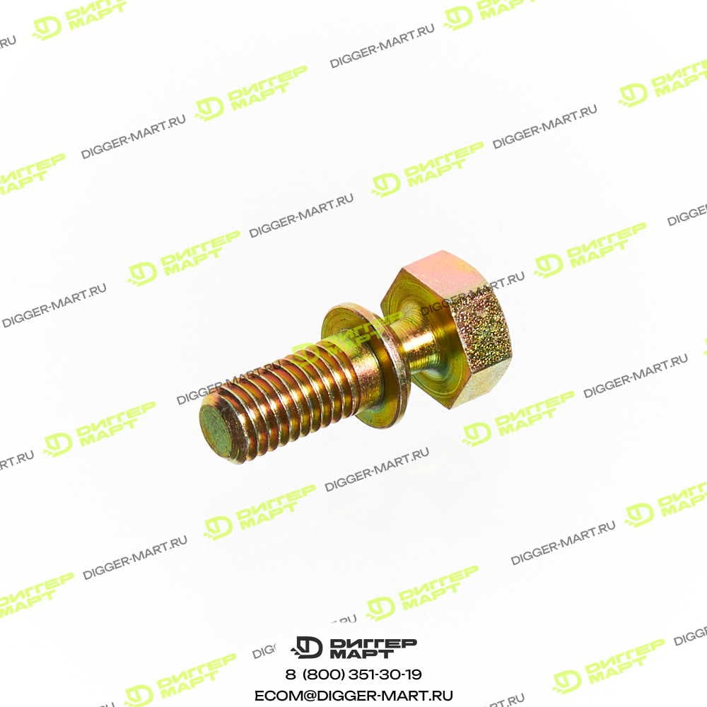 Болт BOSCH 2 423 450 061