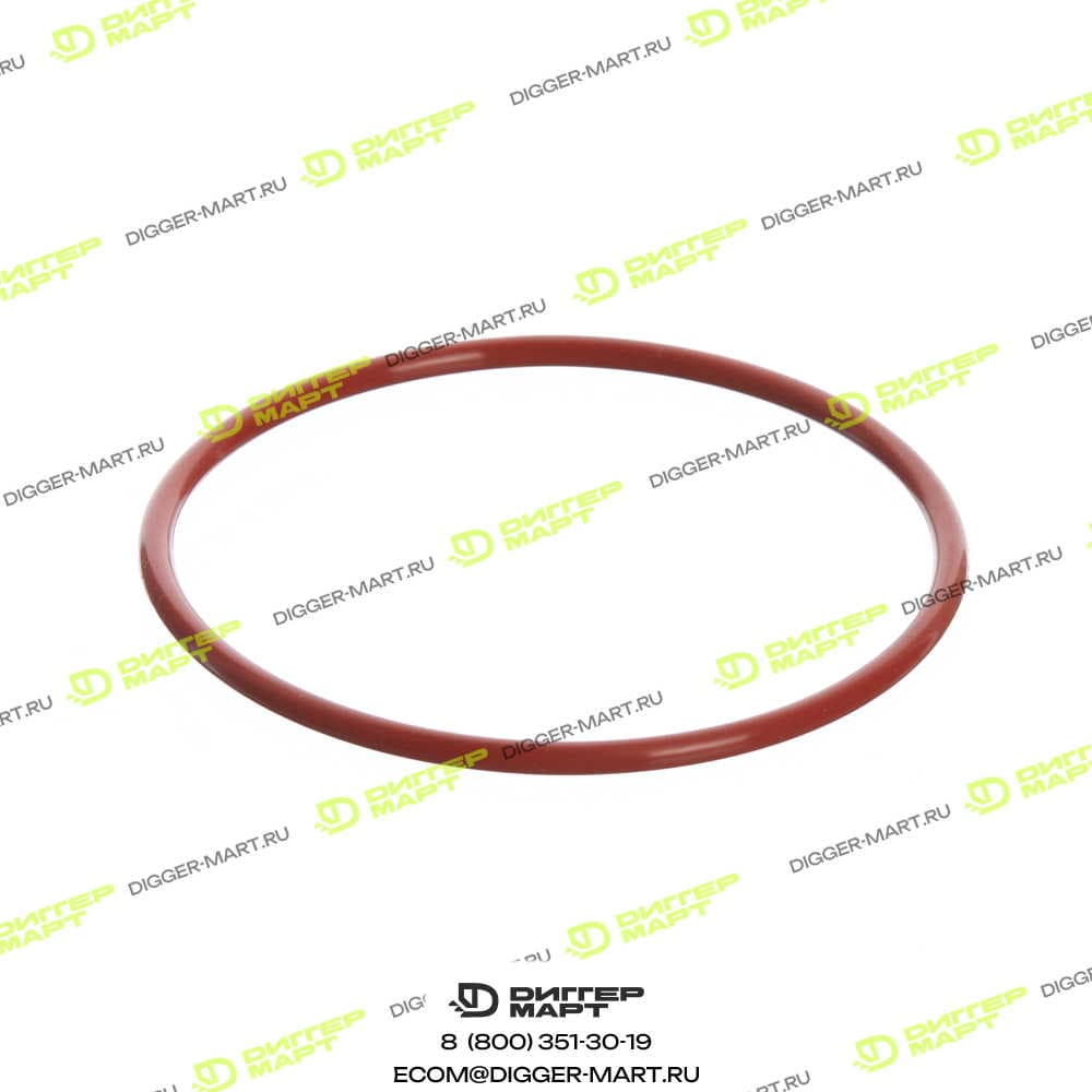 Сальник CUMMINS C0700072070