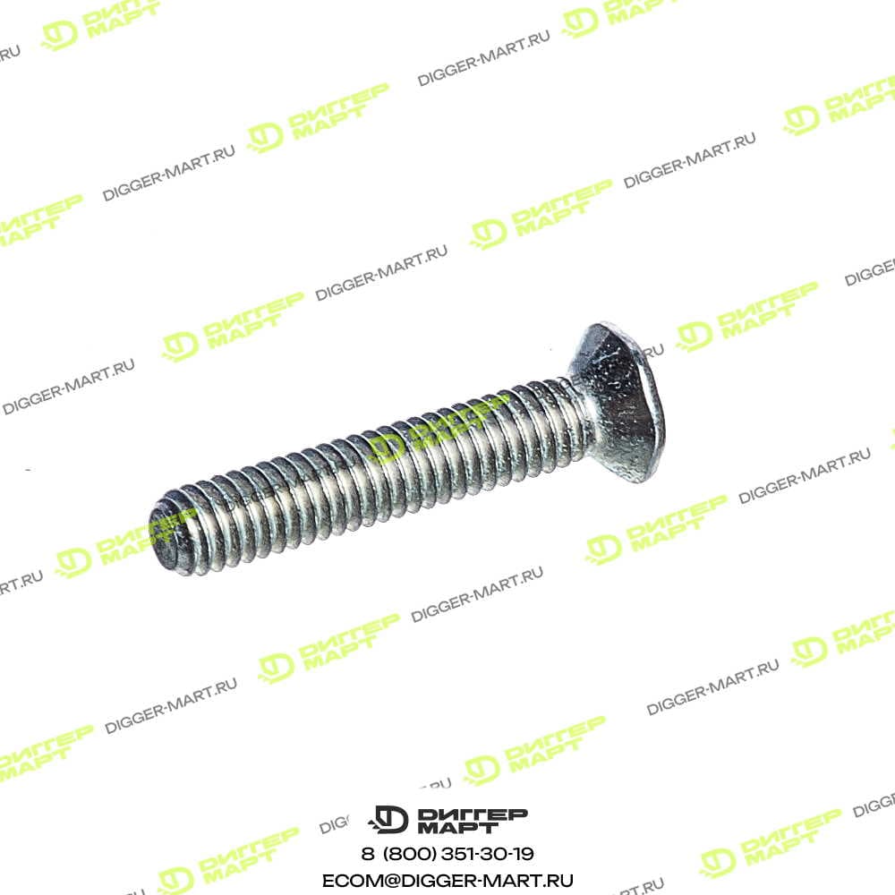 Болт BOSCH F 002 D13 563