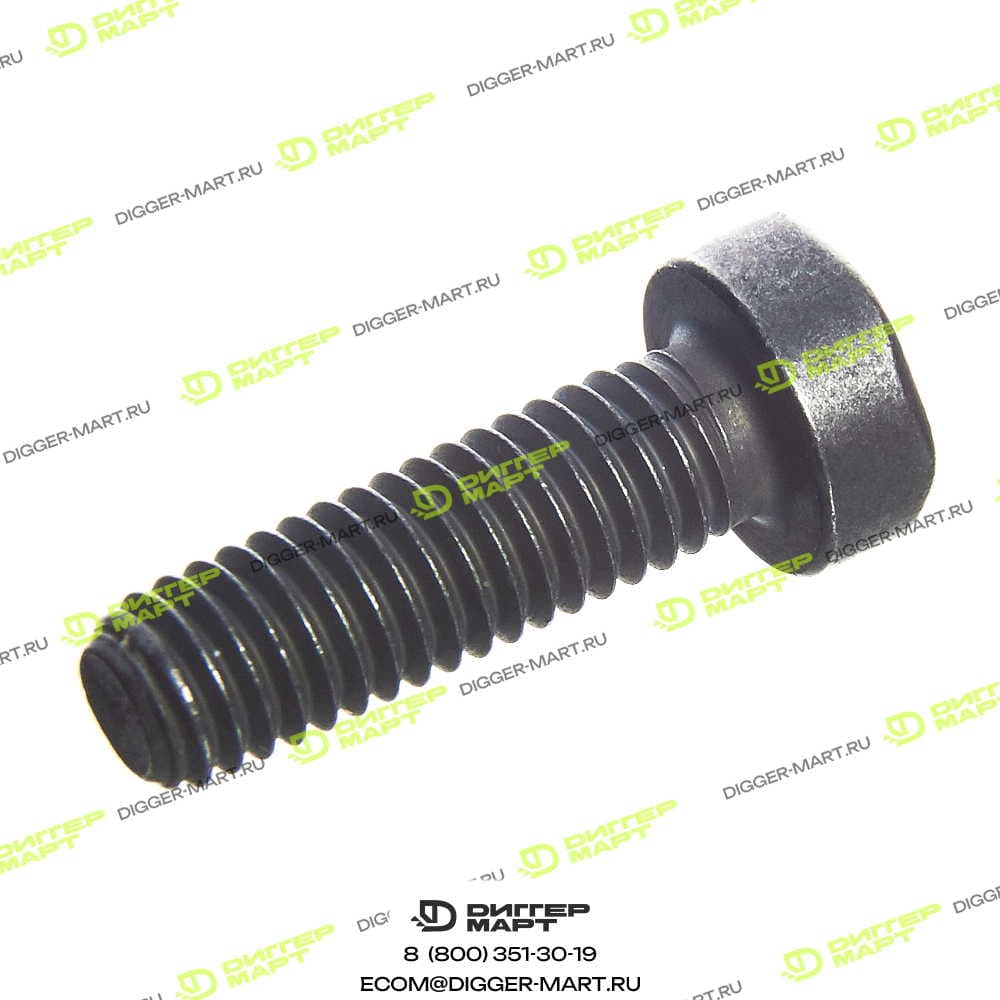 Винт TORX BOSCH F 00N 202 191