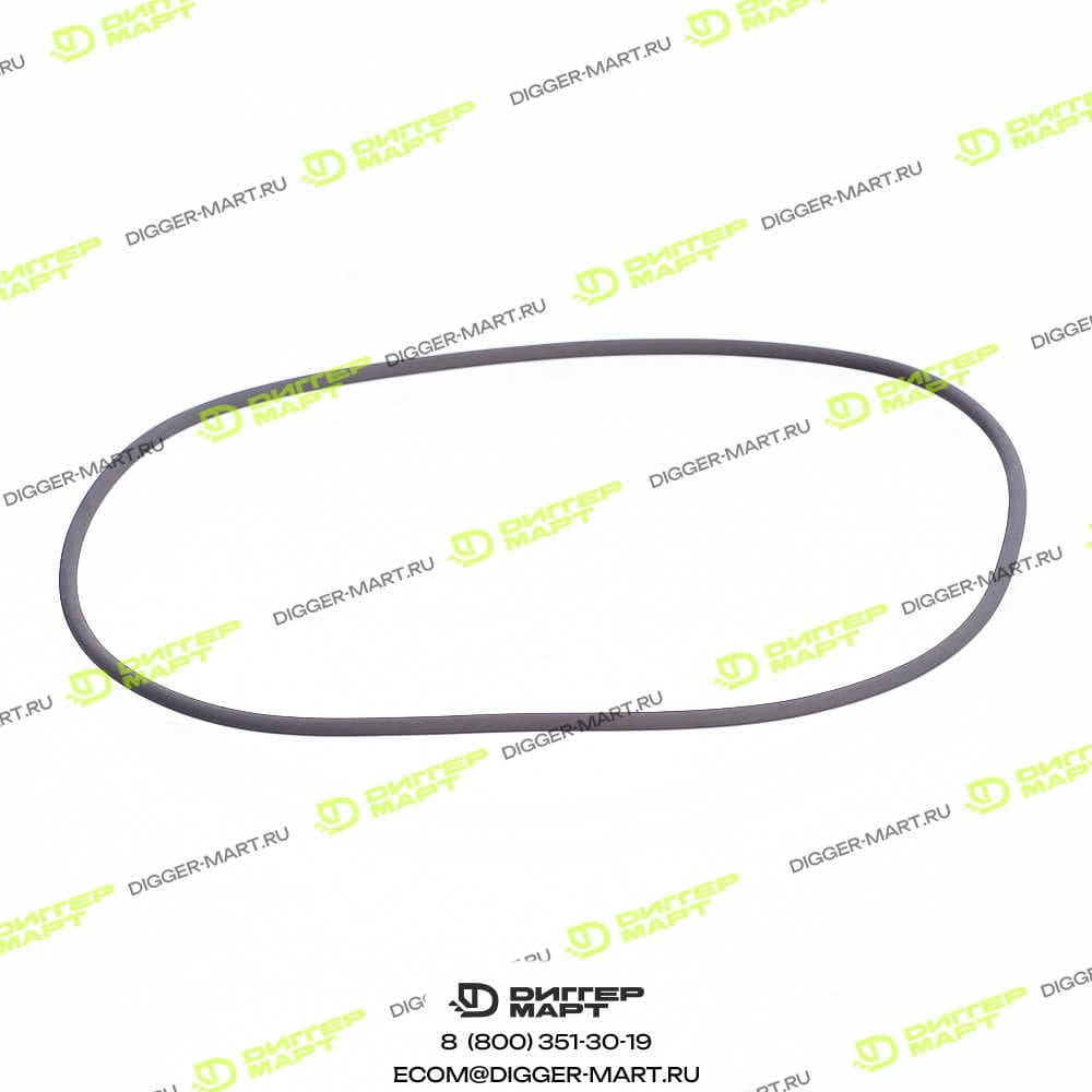 Уплотнительное кольцо тормозов (139231) RM-TEREX 6193403M1