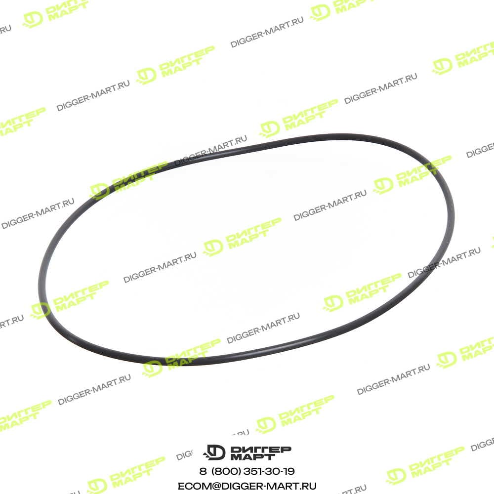 Уплотнительное кольцо тормозов (139231) RM-TEREX 6193403M1R