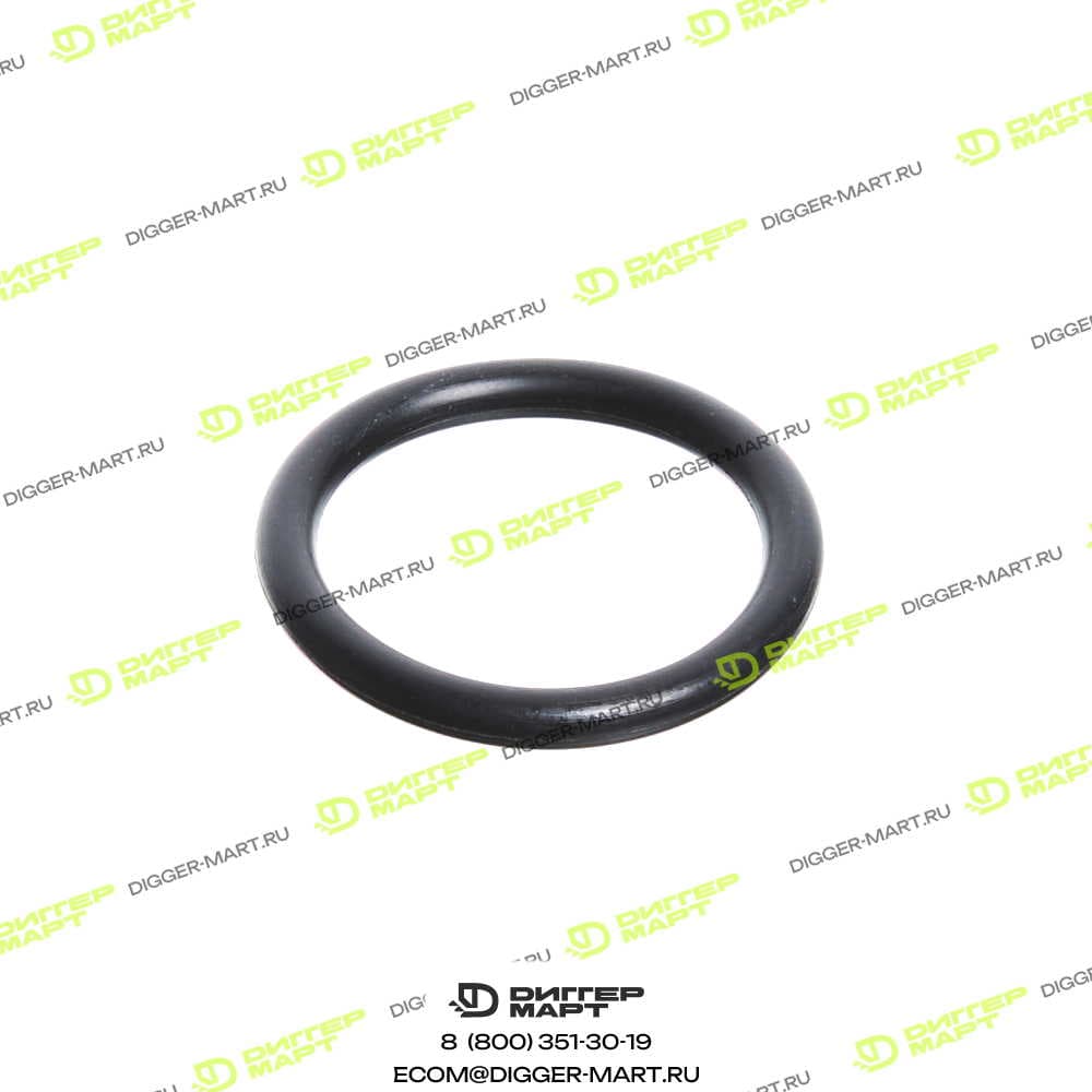 О-кольцо BLUMAQ 07000-13025-ST