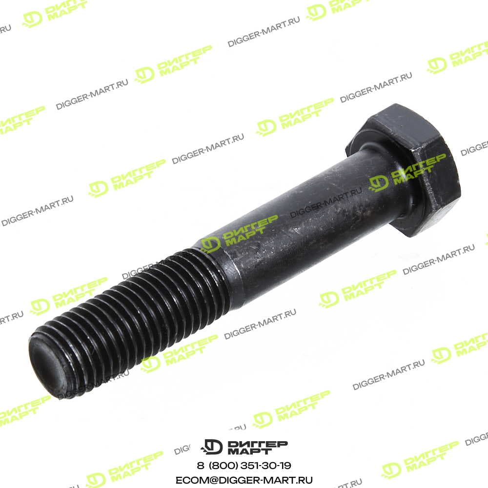 Болт M20 х 100 мм LONMADI PARTS LP63820D