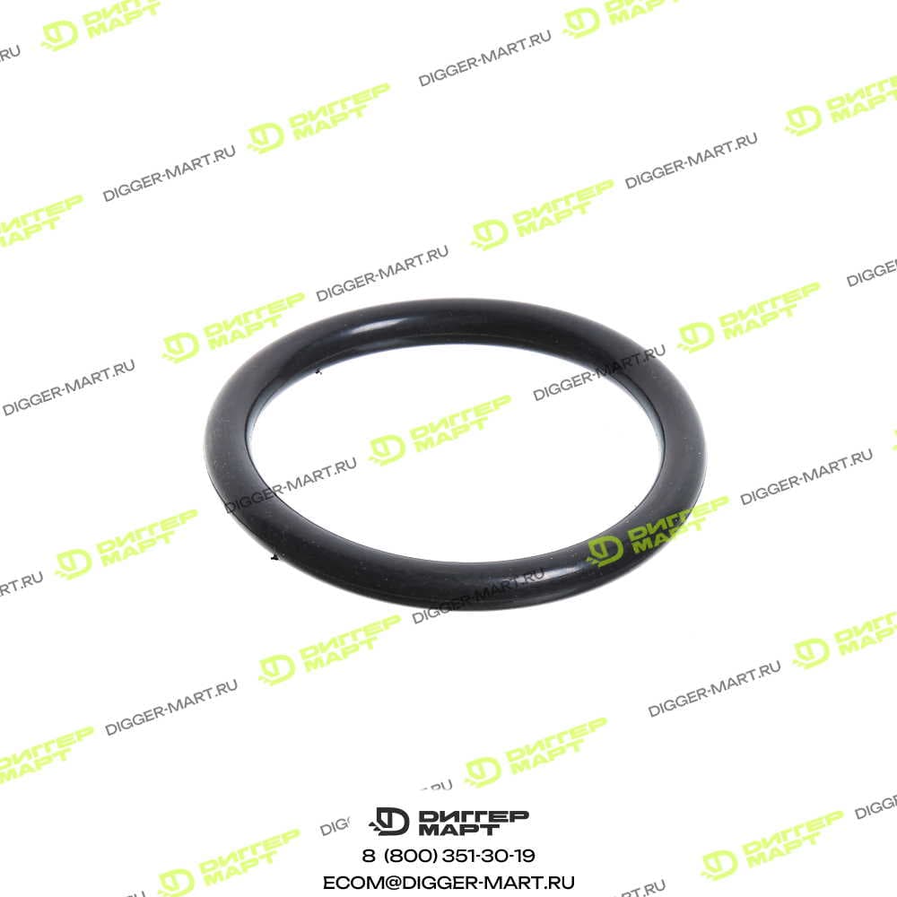 Уплотнительное кольцо SANY A210608000086R
