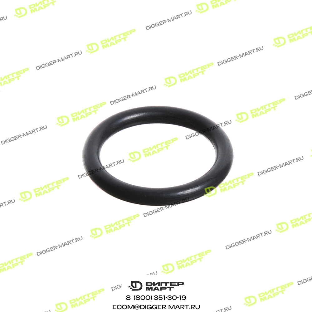 Уплотнительное кольцо SANY A229900001581