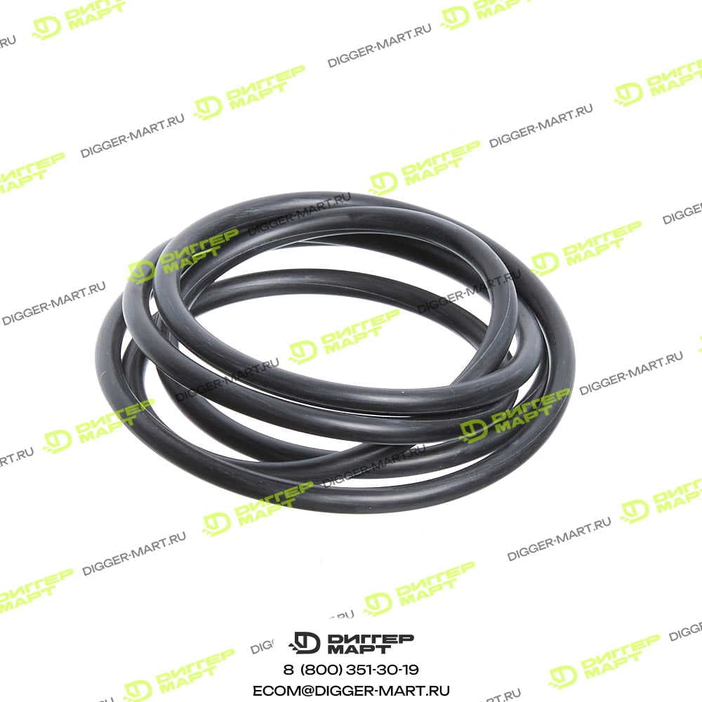 Уплотнительное кольцо LONMADI PARTS 028579PM