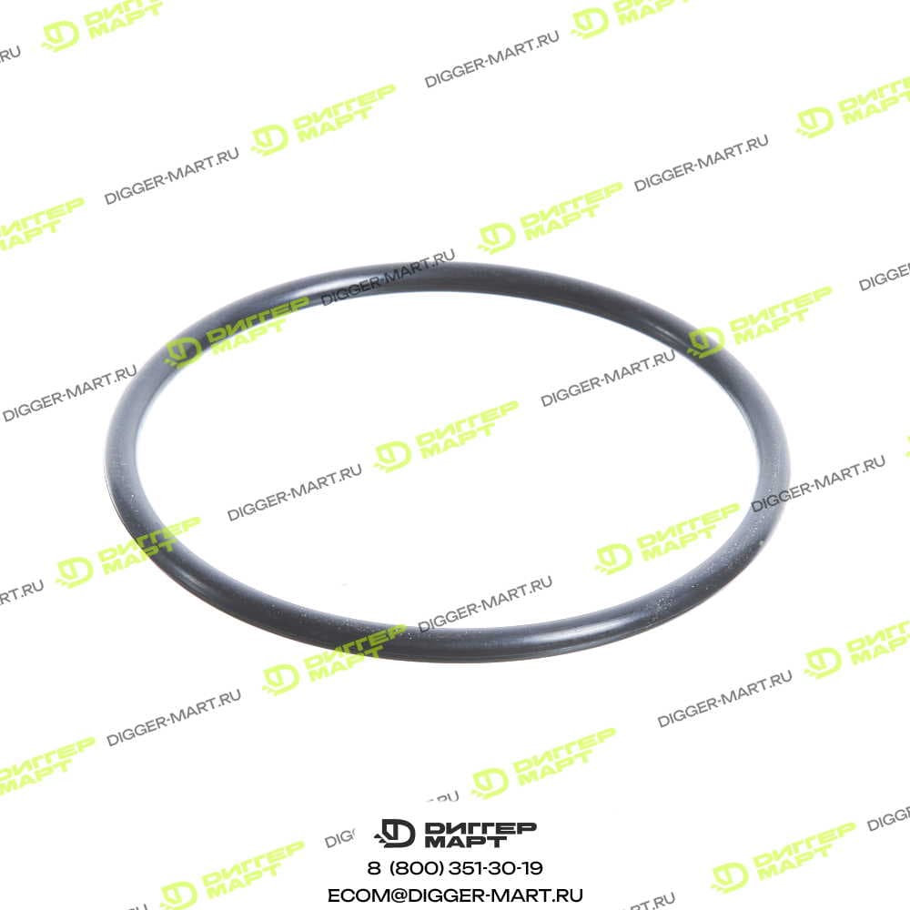 Кольцо SANY A880802010064