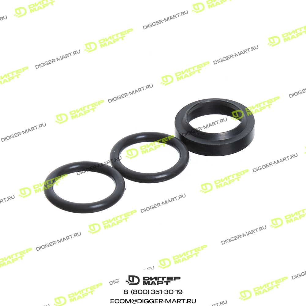 Комплект золотника AMIR 7600499.SPKT