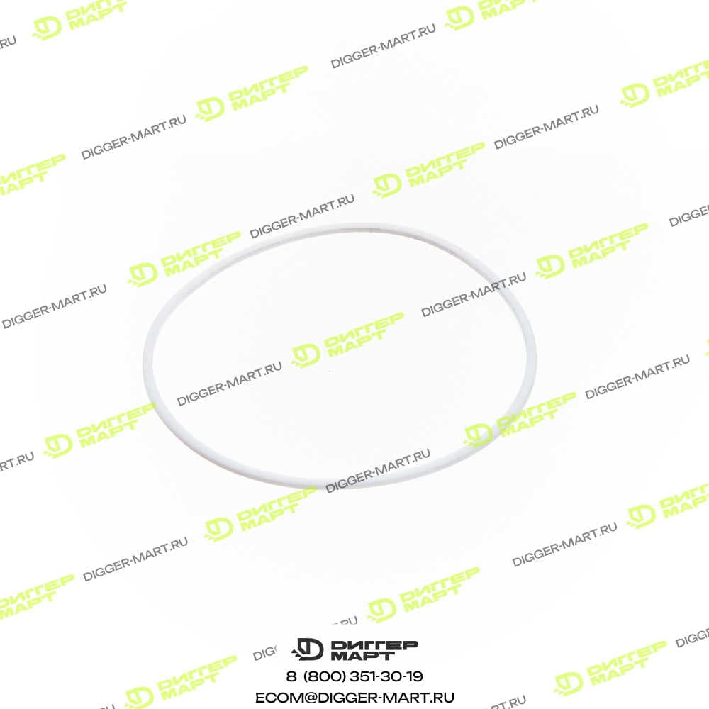 Запчасть Retainer ring SANY 10250733