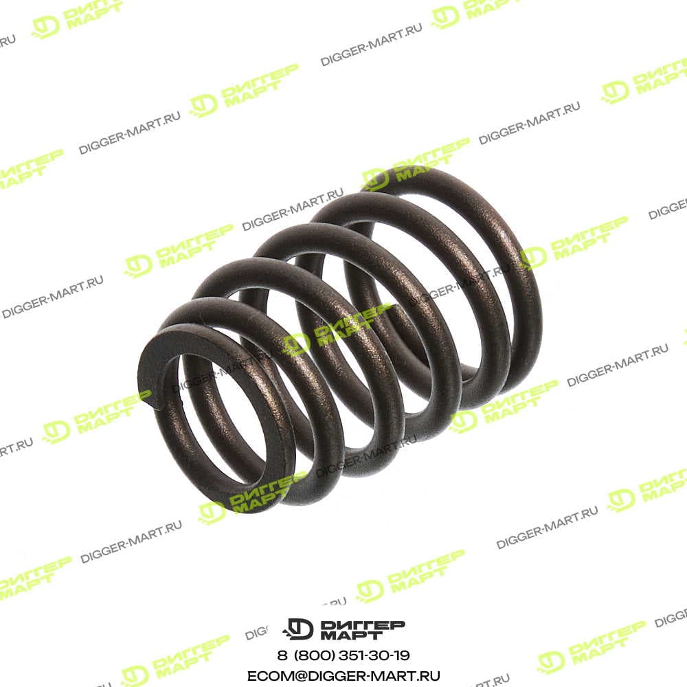 Пружина клапана CGR CT2255496A