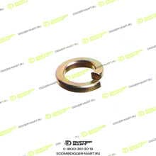 NFLG 1100005953