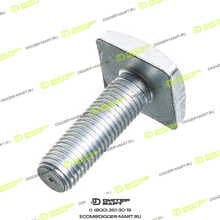 NFLG 1100026196