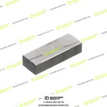 NFLG 2100068810